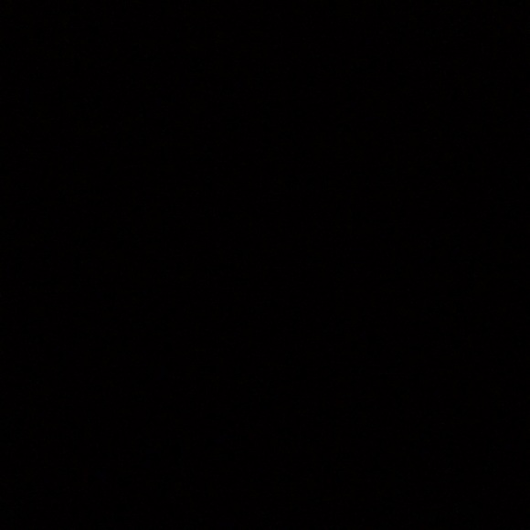 Meet your Posher, Cyrus - Picture 1 of 1